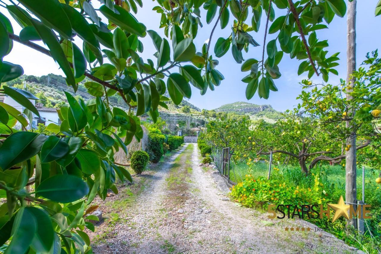 Vakantiehuis Sa Frontera - 23471 Mallorca